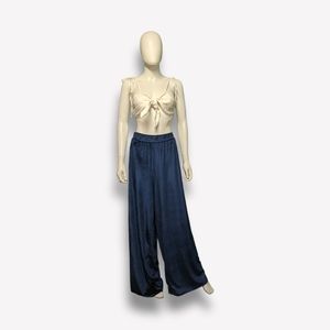 Curvy Sense Royal Blue Velvet Pants, 4X